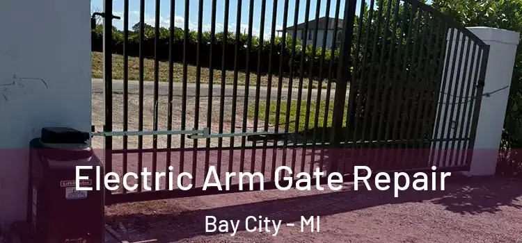 Electric Arm Gate Repair Bay City - MI