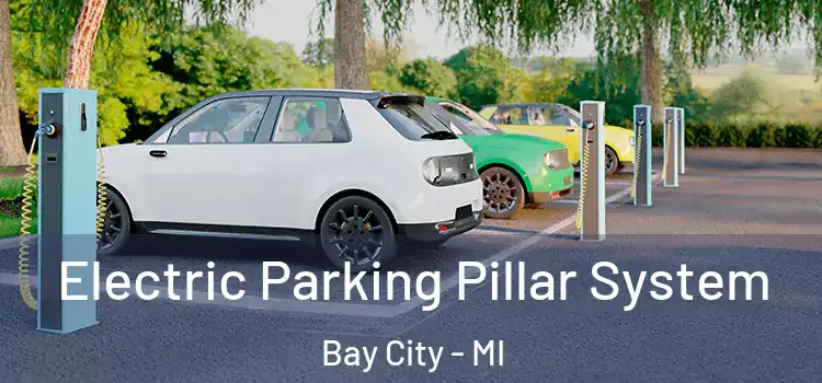  Electric Parking Pillar System Bay City - MI