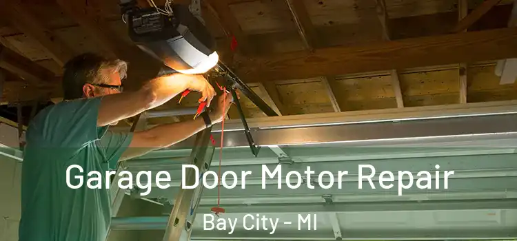  Garage Door Motor Repair Bay City - MI