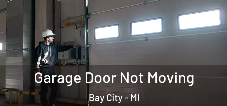  Garage Door Not Moving Bay City - MI