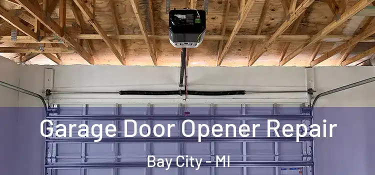  Garage Door Opener Repair Bay City - MI