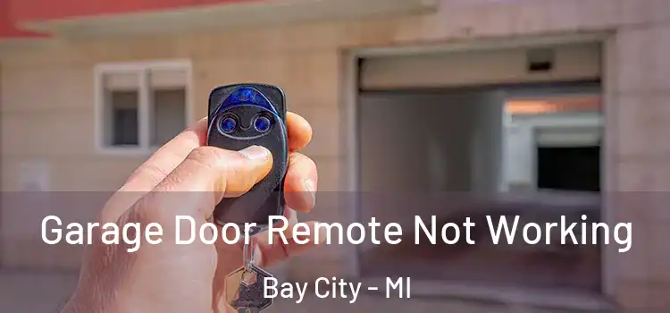  Garage Door Remote Not Working Bay City - MI