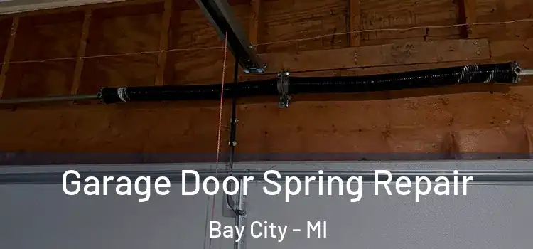  Garage Door Spring Repair Bay City - MI