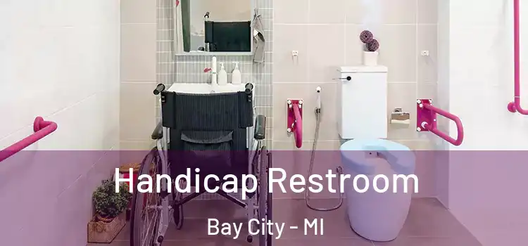  Handicap Restroom Bay City - MI