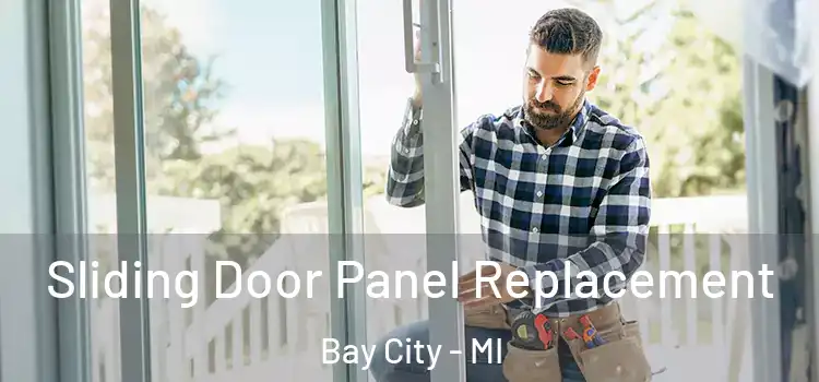  Sliding Door Panel Replacement Bay City - MI
